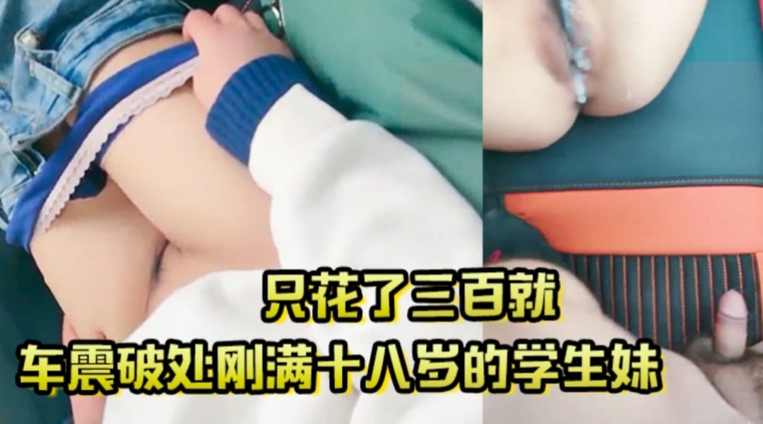 只花了三百就车震破处刚满十八岁的学生妹